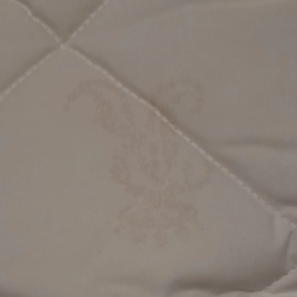 Brand New Rachel Ashwell Simply Shabby Chic GOOSE DOWN COMFORTER TWIN
